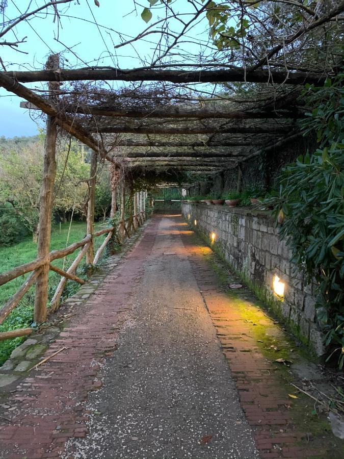 Sunrise Luxury Experience Bed & Breakfast Piano di Sorrento Dış mekan fotoğraf