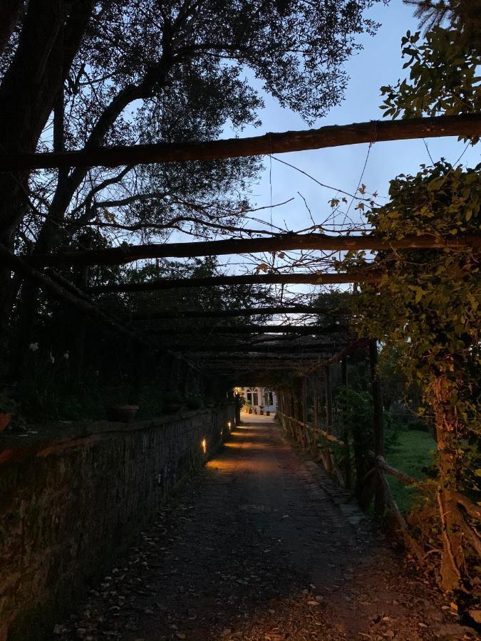 Sunrise Luxury Experience Bed & Breakfast Piano di Sorrento Dış mekan fotoğraf