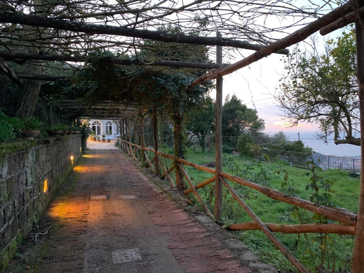 Sunrise Luxury Experience Bed & Breakfast Piano di Sorrento Dış mekan fotoğraf